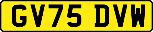 GV75DVW