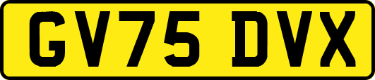 GV75DVX