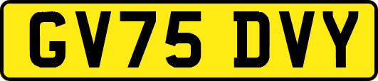 GV75DVY
