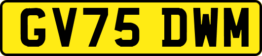 GV75DWM