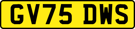 GV75DWS