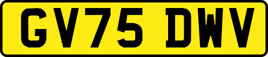 GV75DWV