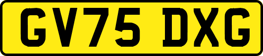 GV75DXG
