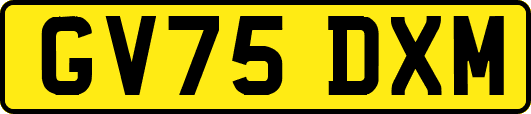GV75DXM