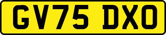 GV75DXO