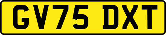 GV75DXT