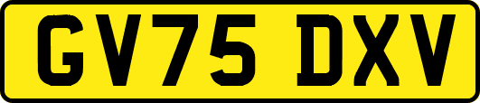 GV75DXV