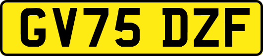 GV75DZF