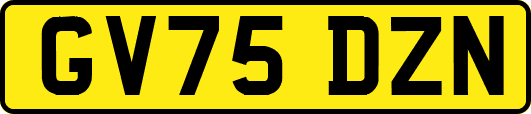 GV75DZN