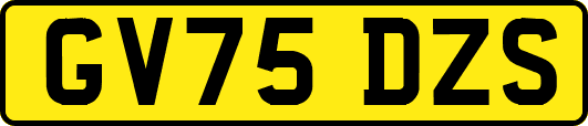 GV75DZS