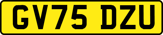 GV75DZU