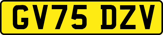 GV75DZV