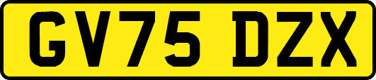 GV75DZX