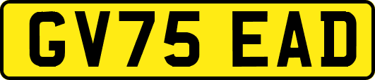 GV75EAD