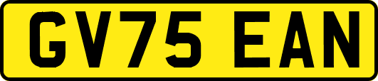 GV75EAN