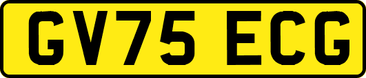 GV75ECG