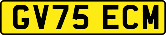 GV75ECM