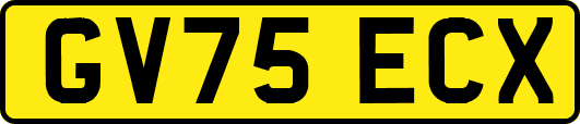 GV75ECX