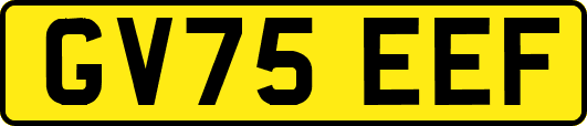GV75EEF