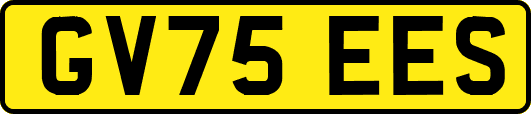 GV75EES