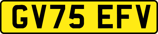 GV75EFV