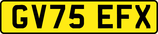GV75EFX