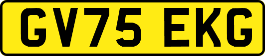 GV75EKG