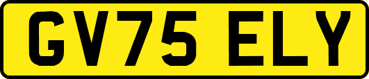 GV75ELY