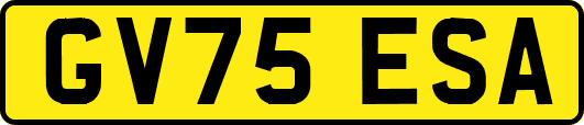 GV75ESA