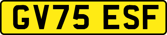GV75ESF