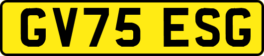 GV75ESG