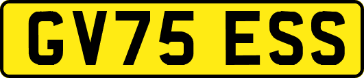 GV75ESS