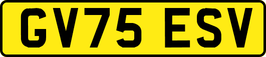 GV75ESV