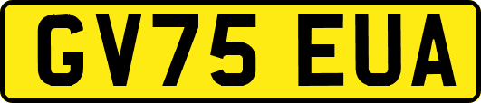 GV75EUA