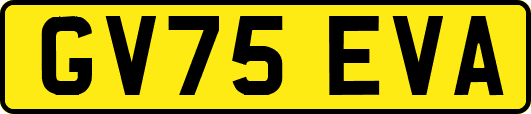 GV75EVA
