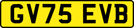 GV75EVB