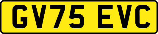 GV75EVC