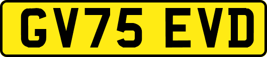 GV75EVD