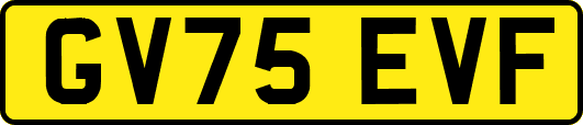 GV75EVF