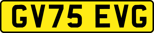 GV75EVG