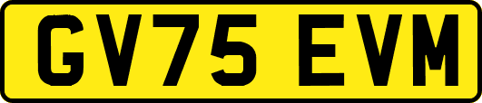 GV75EVM