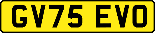 GV75EVO
