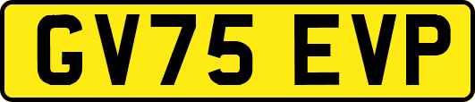 GV75EVP