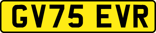 GV75EVR