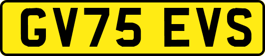 GV75EVS