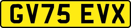 GV75EVX