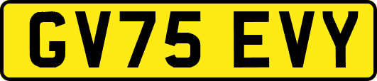GV75EVY