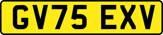 GV75EXV