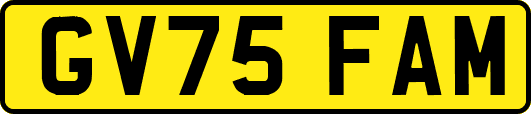 GV75FAM