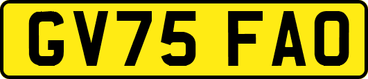 GV75FAO
